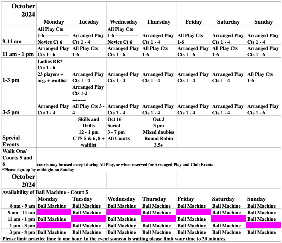 Connestee Falls Pickleball Club October Schedule